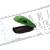 COLOP Mouse Stamp pieczątka kieszonkowa C30 47x18mm ZIELONY GREEN LINE